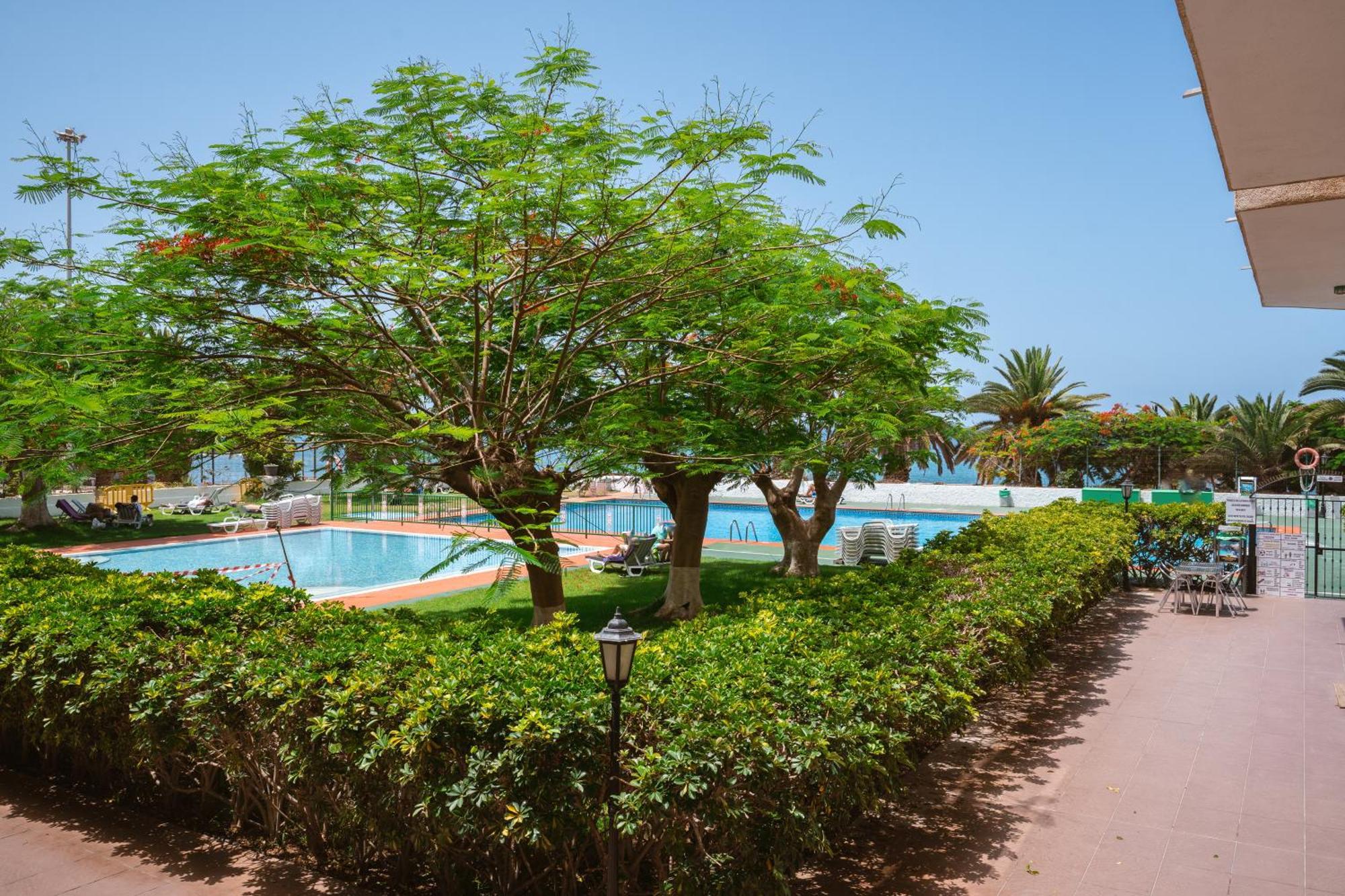 Go2Tenerife Apart'Dida Pool & First Line Of The Sea ลอส กริสเตียนอส ภายนอก รูปภาพ